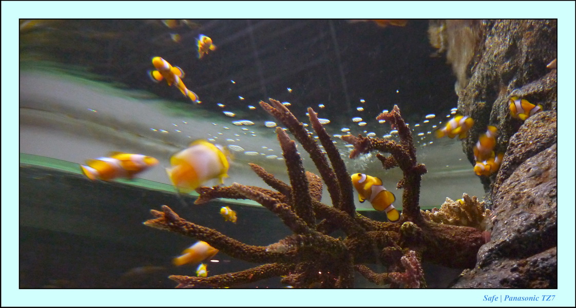 2009   07   Bangkok 06